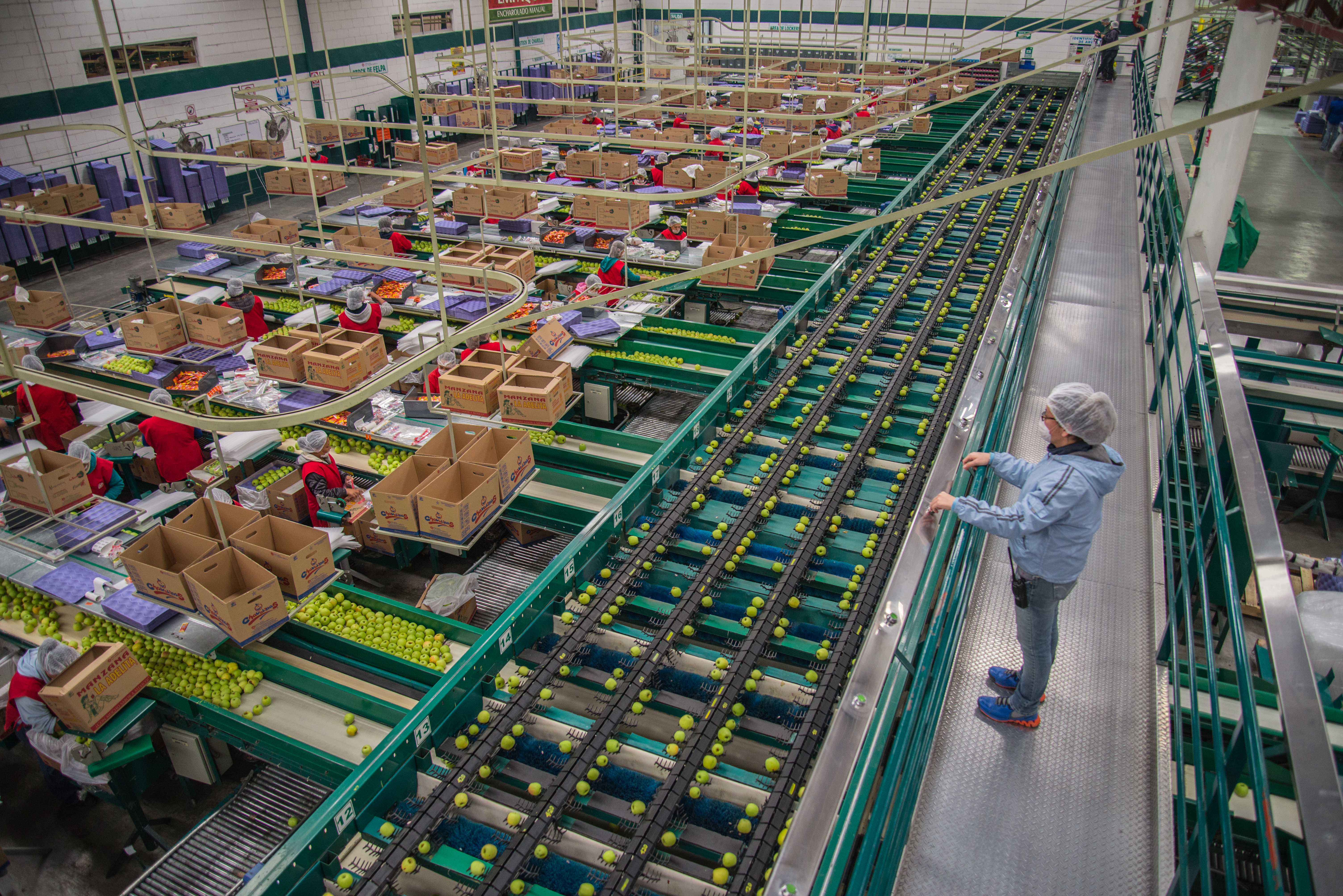 RSE Grupo La Norteñita 11