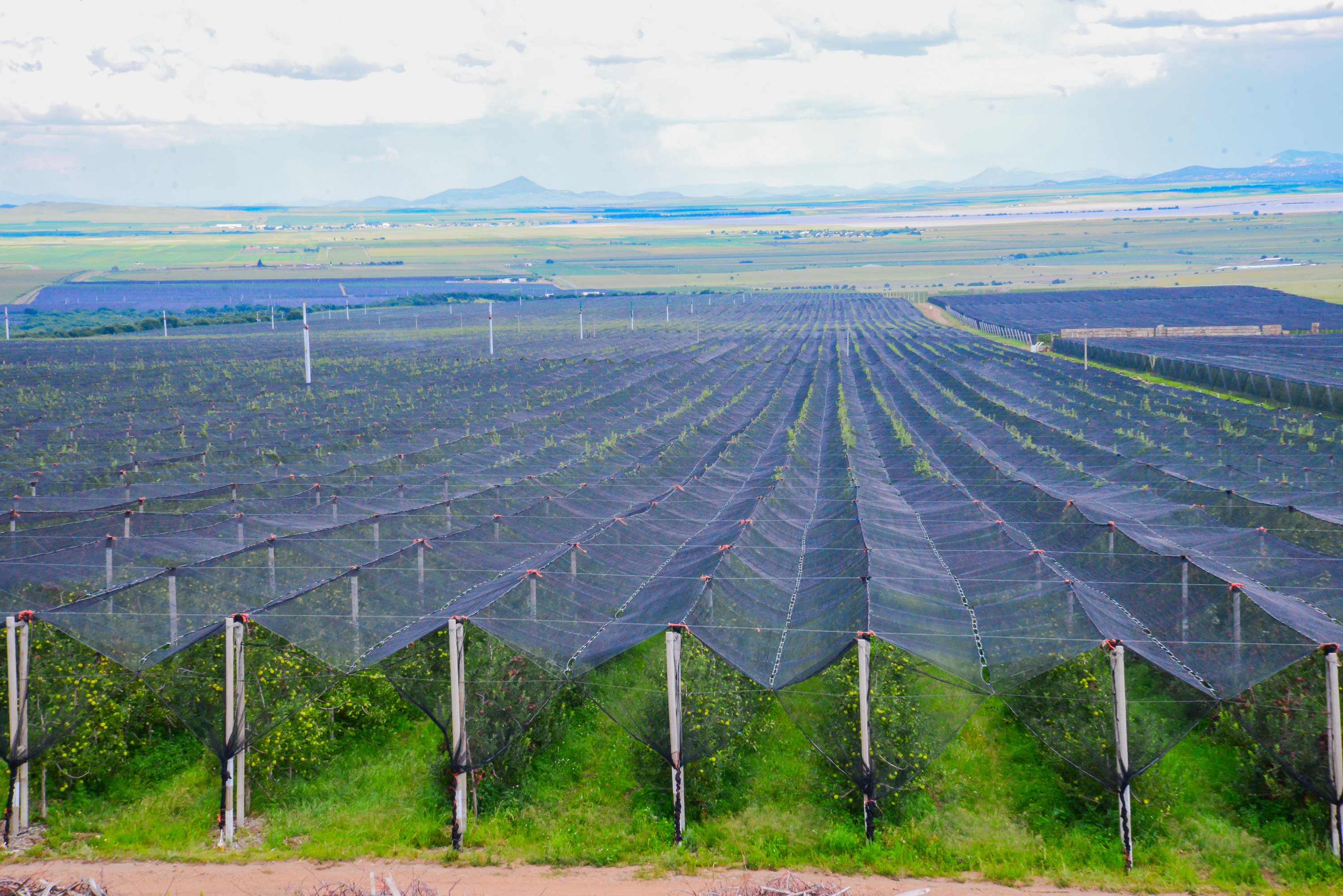 RSE Grupo La Norteñita 17