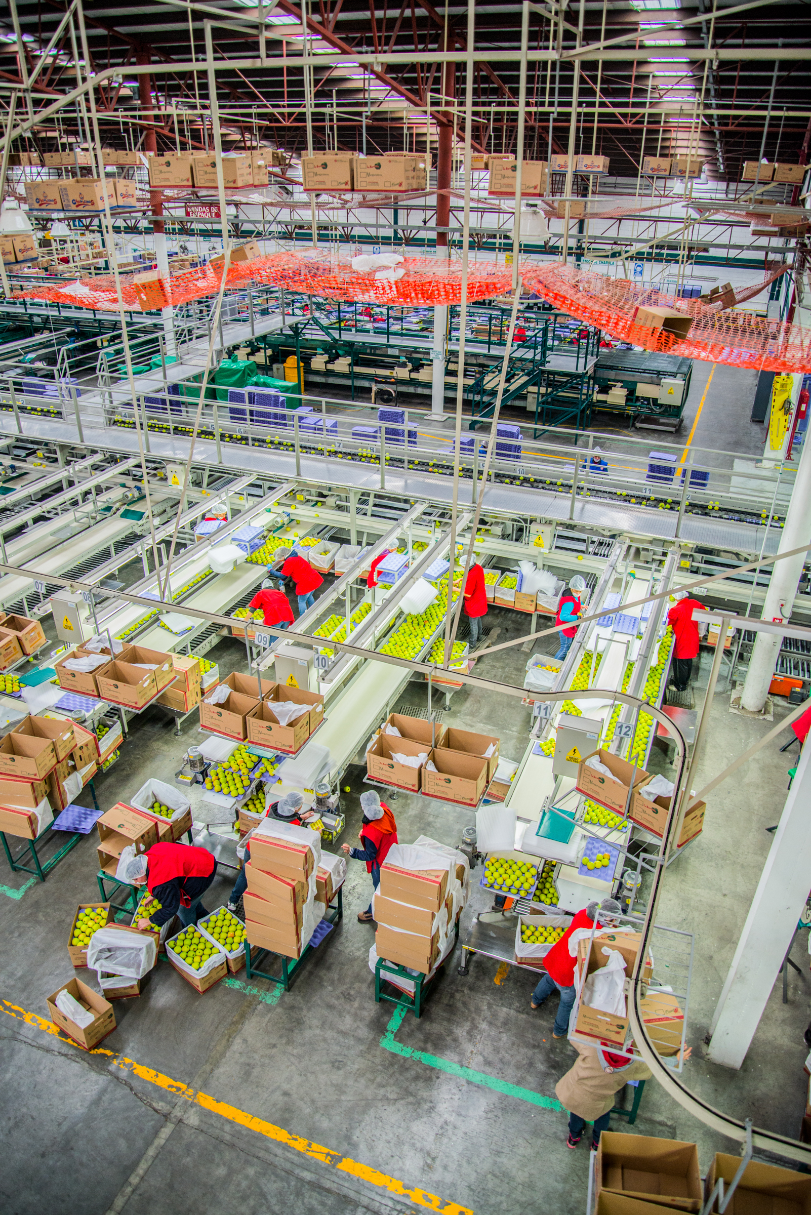 RSE Grupo La Norteñita 2