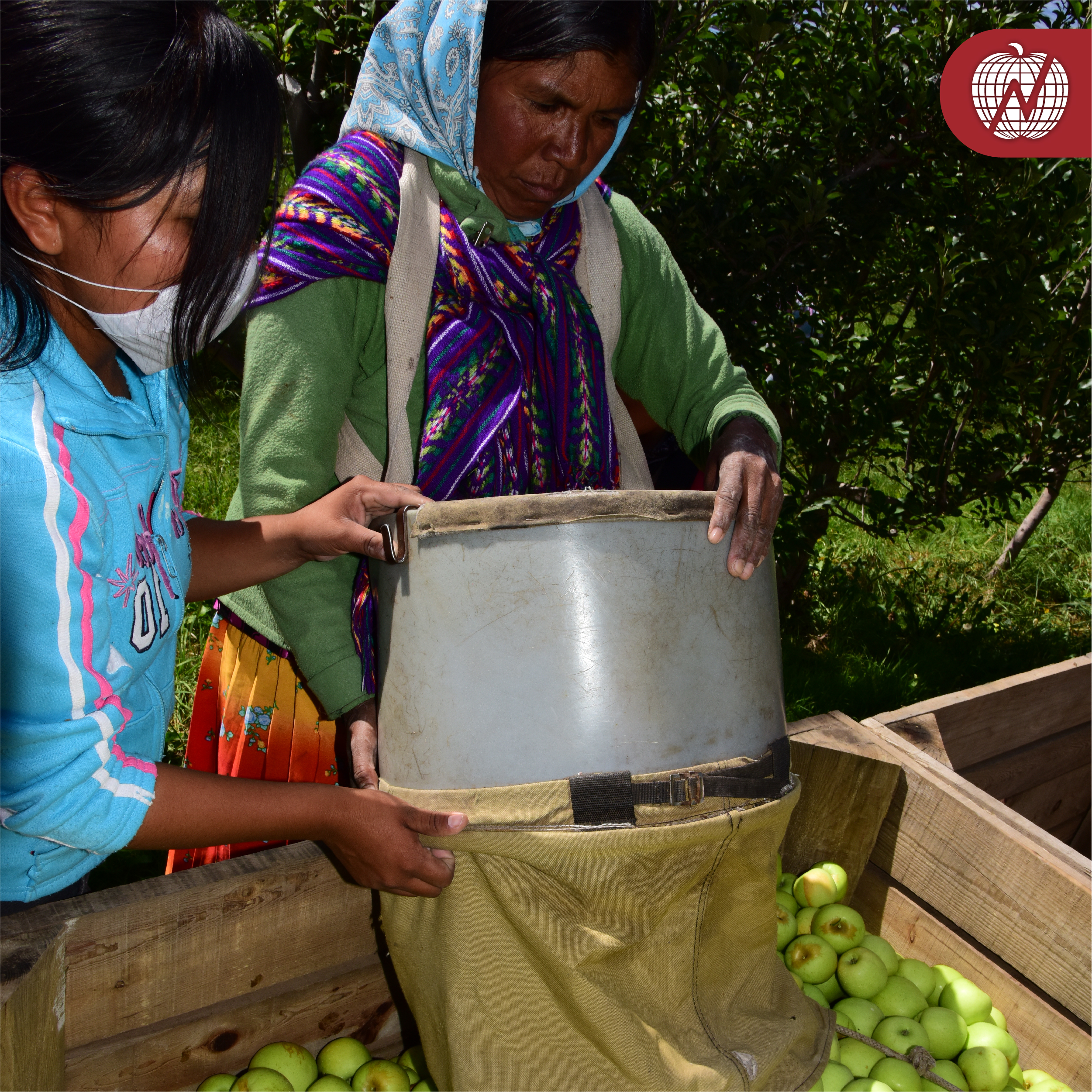 RSE Grupo La Norteñita 20