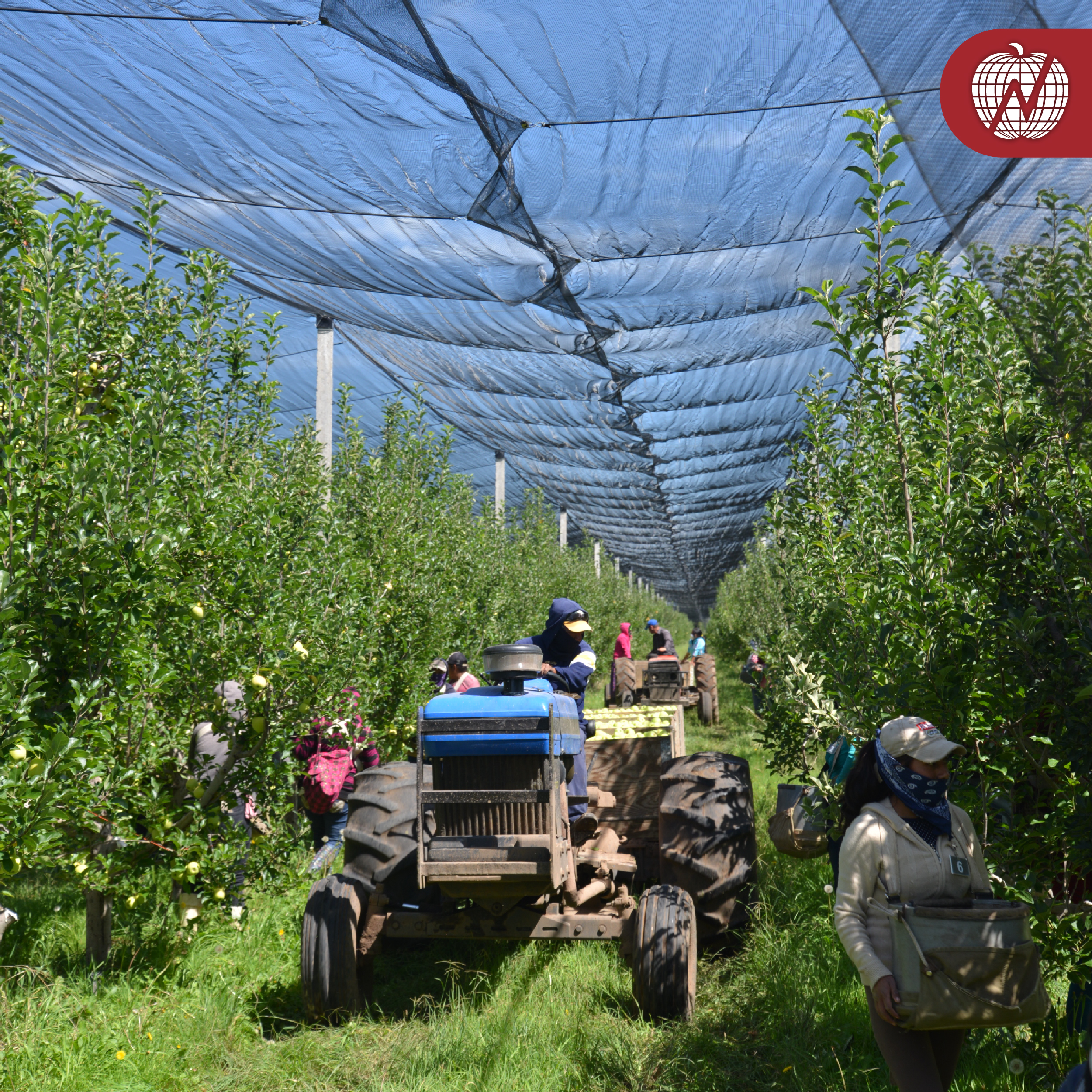 RSE Grupo La Norteñita 21