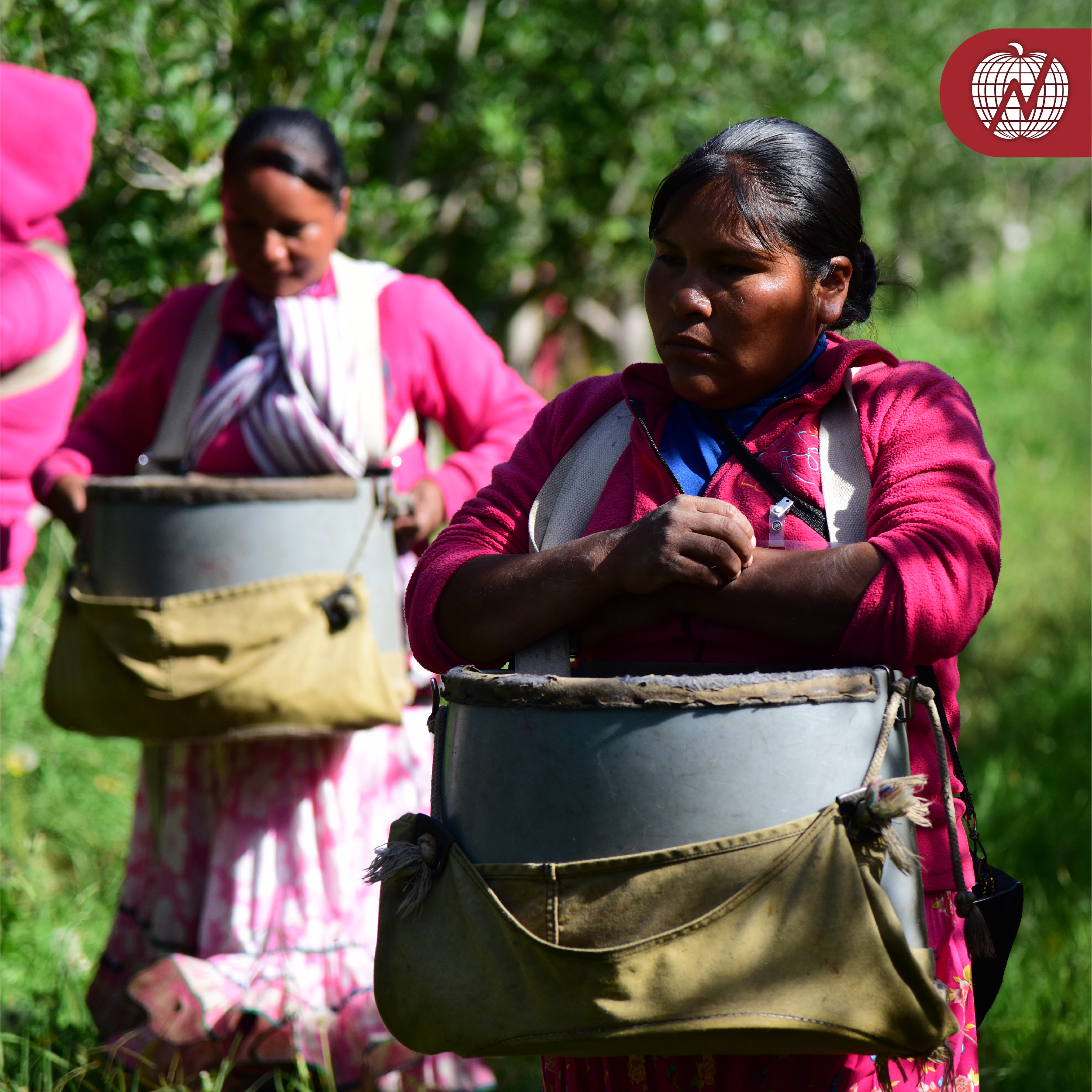 RSE Grupo La Norteñita 24