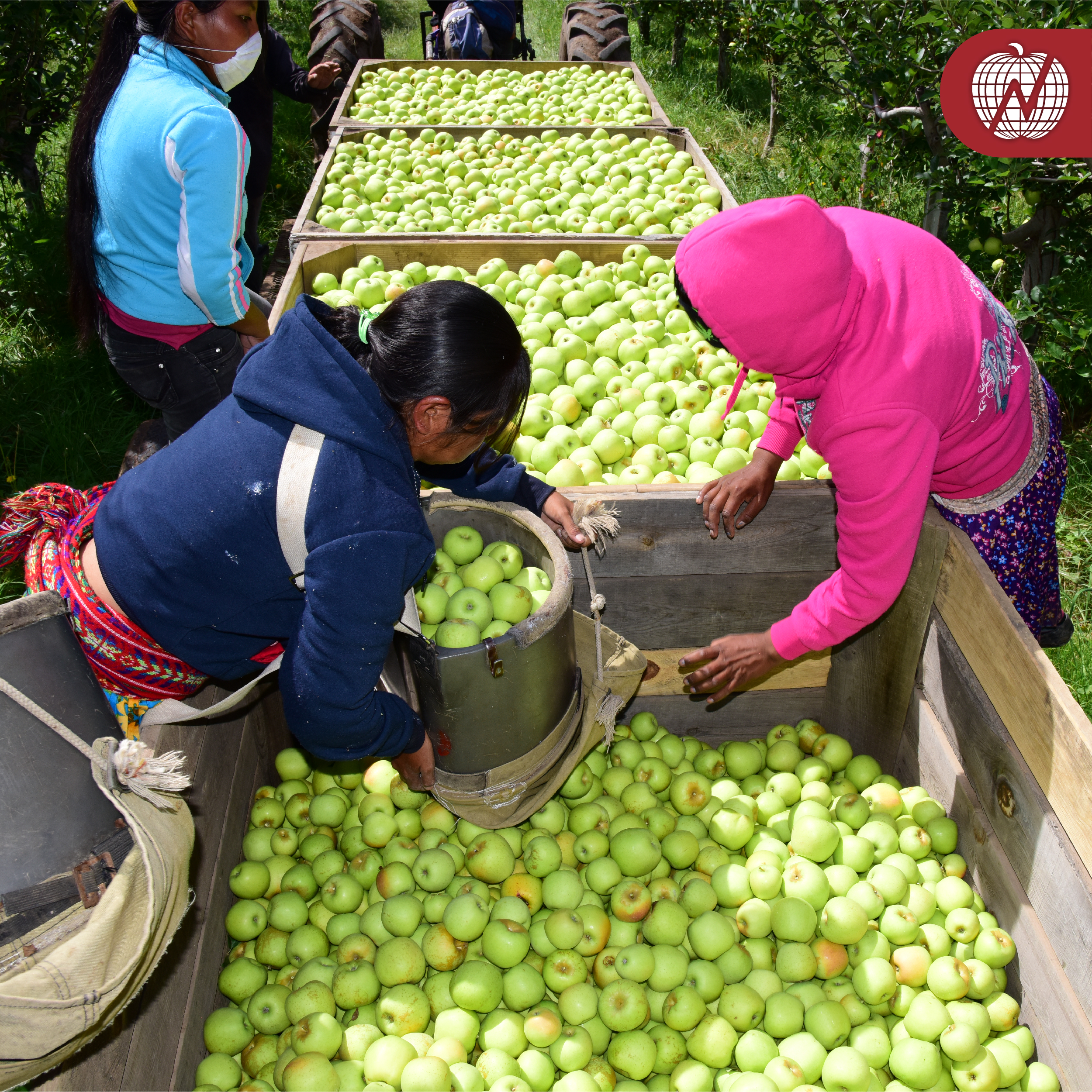 RSE Grupo La Norteñita 27