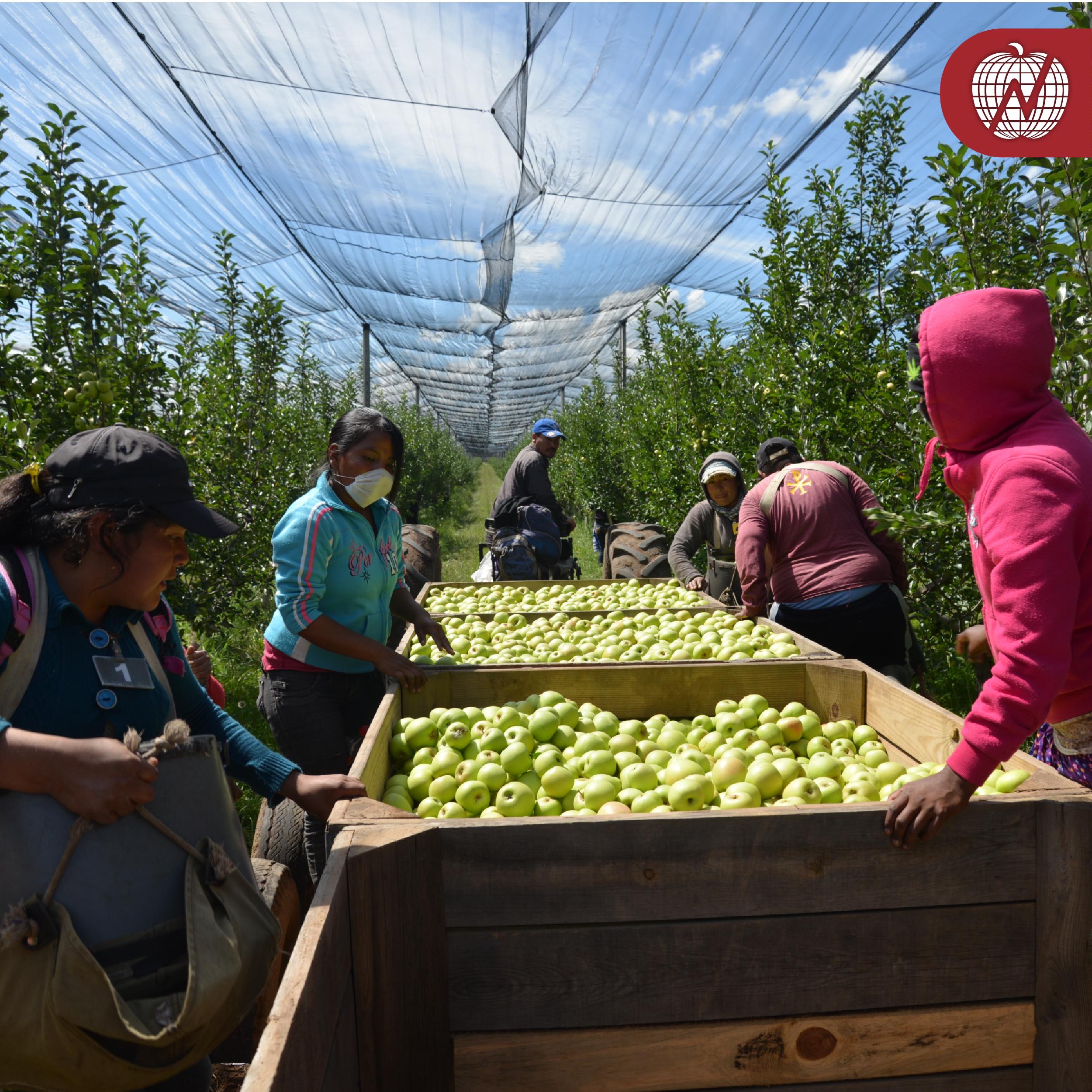 RSE Grupo La Norteñita 28