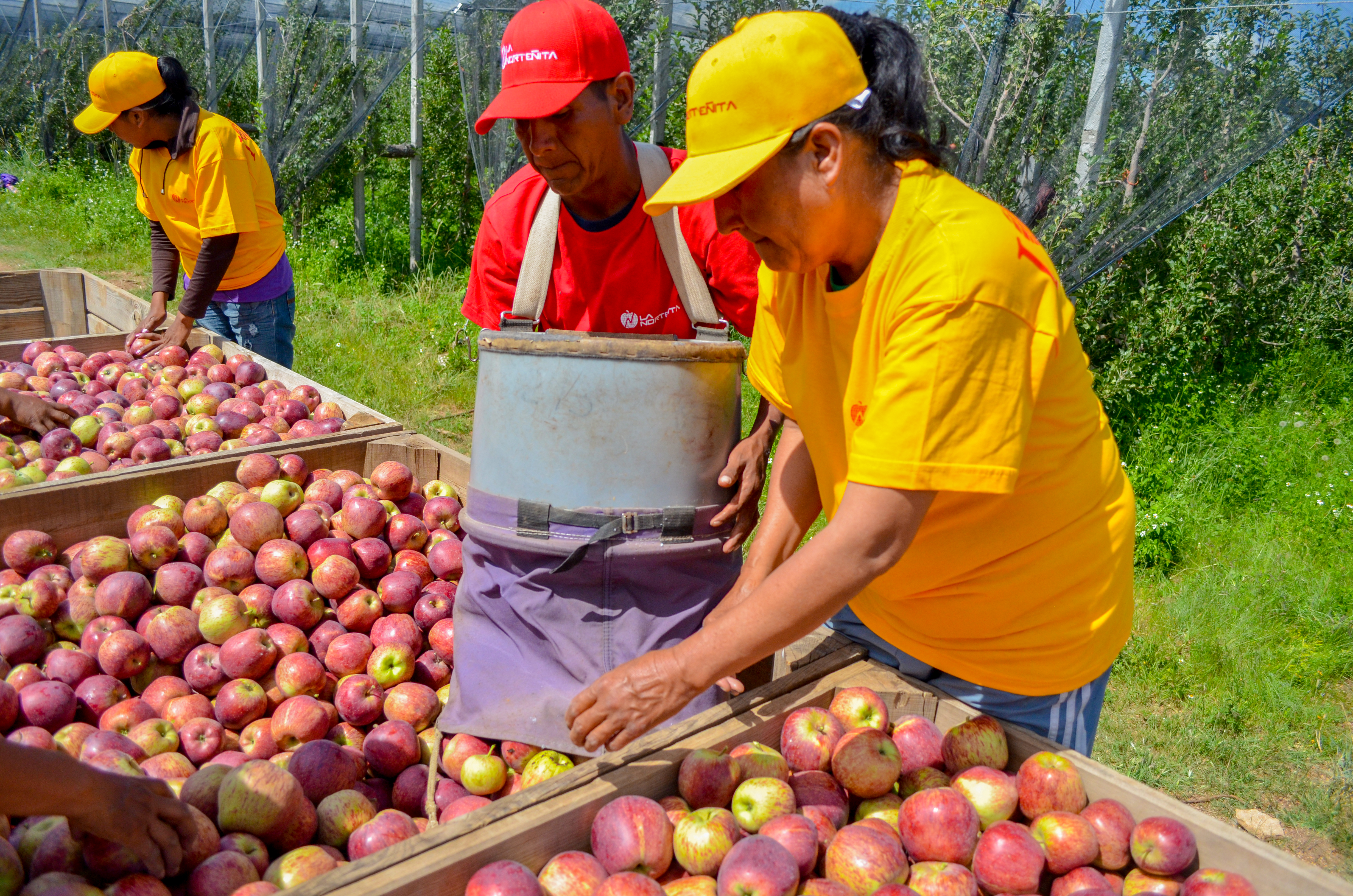 RSE Grupo La Norteñita 30