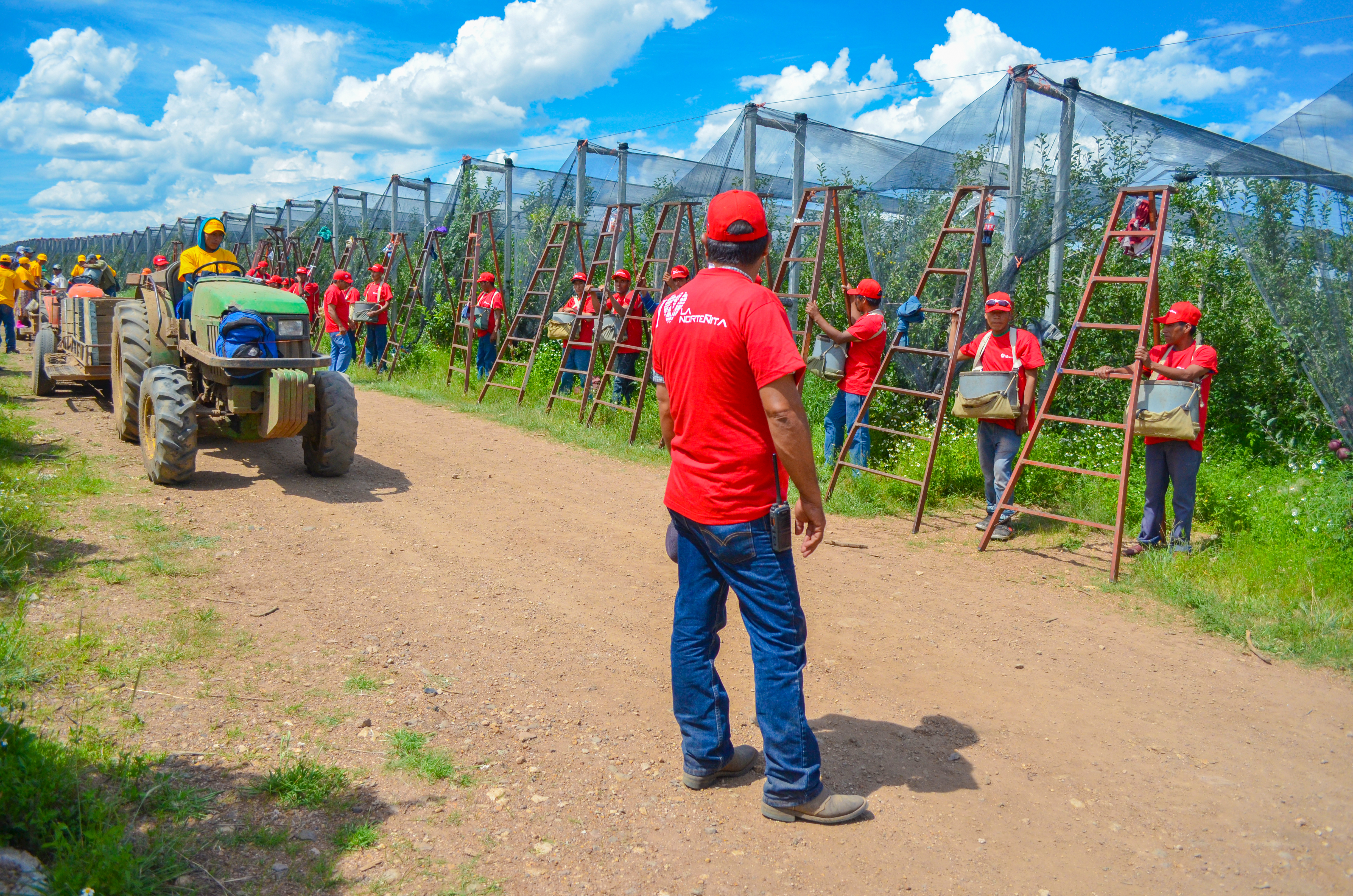 RSE Grupo La Norteñita 8