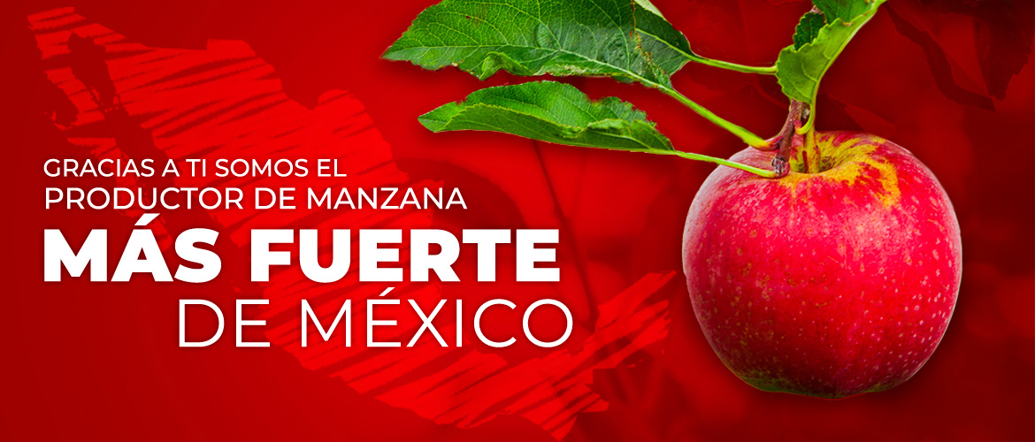 Huertas Grupo La Norteñita